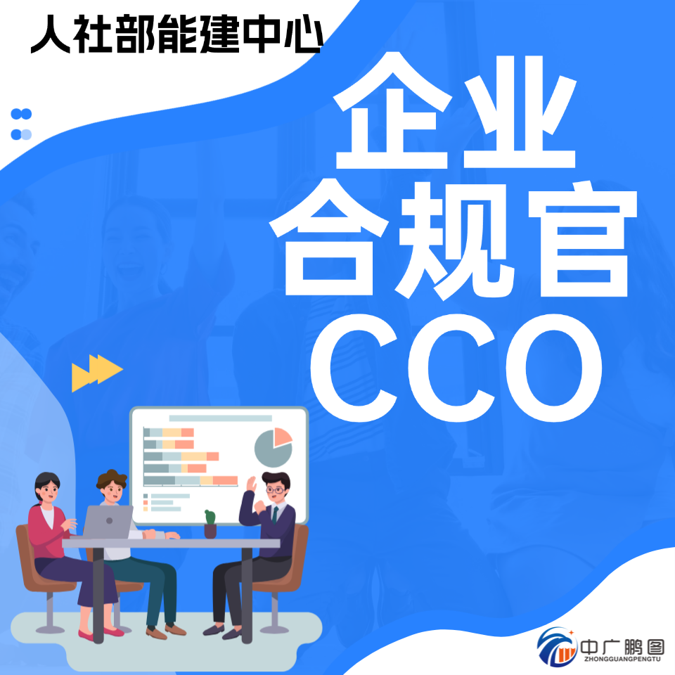 企业合规官CCO